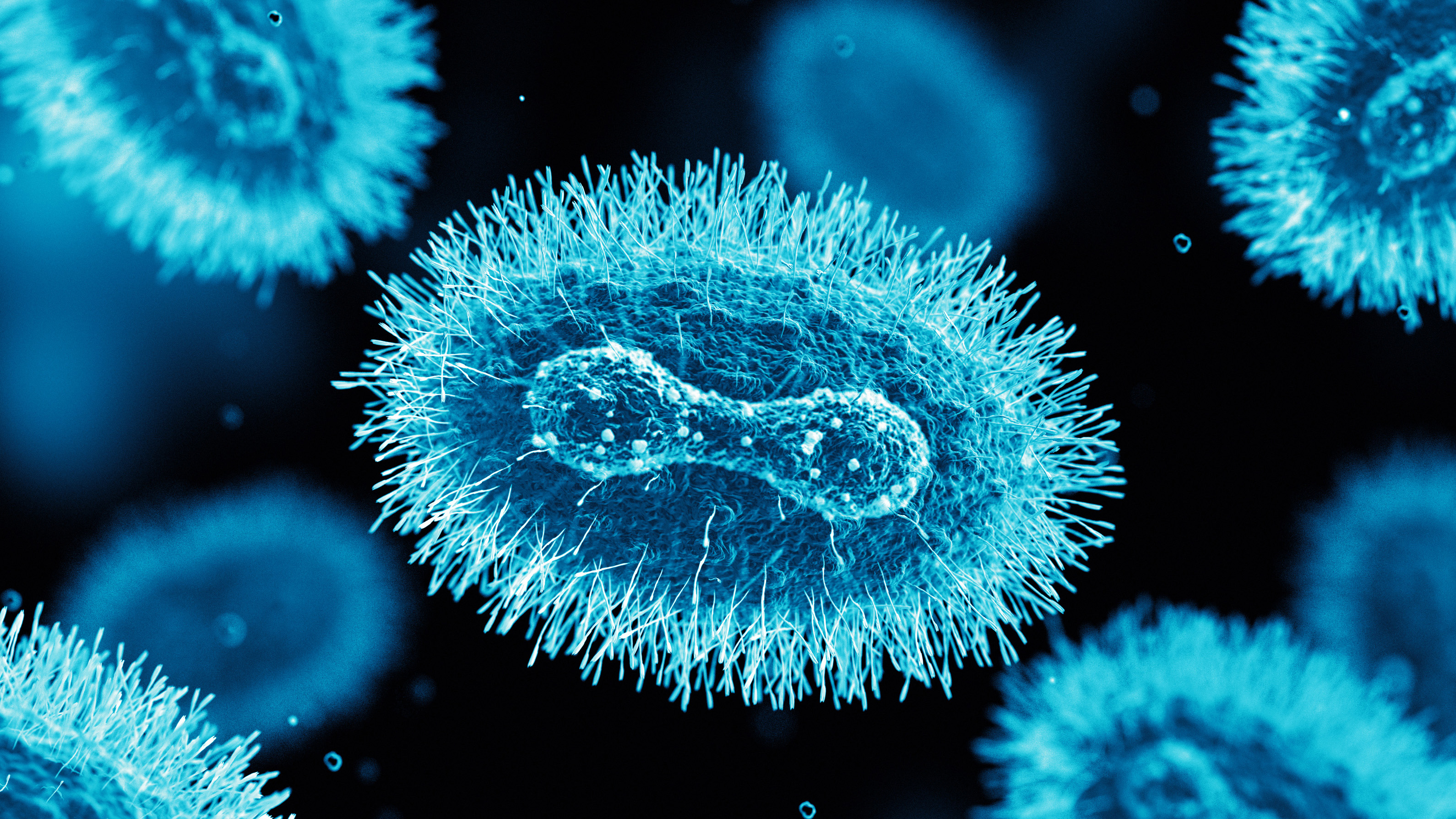 close-up slide view of mpox virus